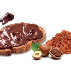 Ovalette Haselnusspaste mit Kakao 10 Kg