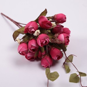 Fuchsia Blumen Knospe