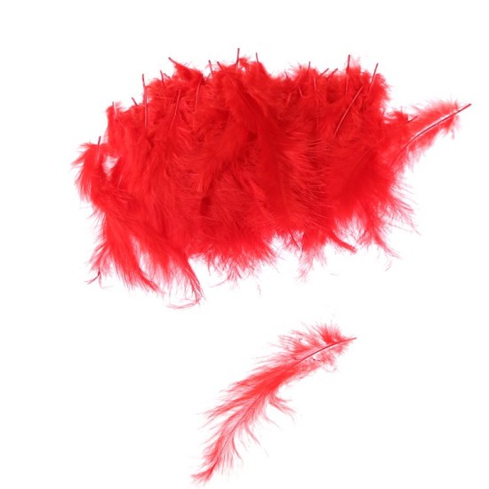 Rot Feder für Besondere Dekoration 100 Stück - MA0014 - Mytortenland