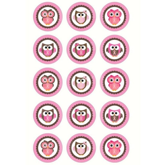 Eule Mädchen Thema Cupcake/Muffin Aufleger - Mc20 - Mytortenland