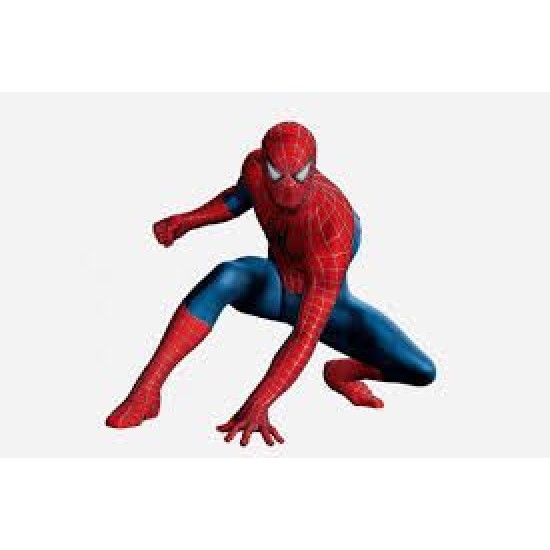 Spider-Man Tortenaufleger / Lebensmittel Fotodruck - MC12 - Mytortenland