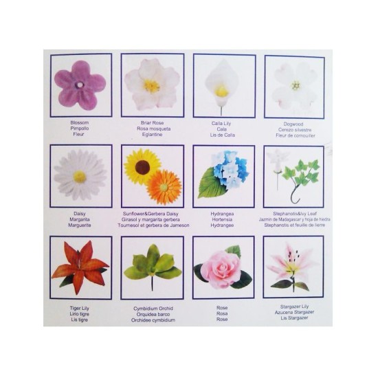 Fondant Blumen Cutter Set Ausstecher - A528-MYT - Mytortenland