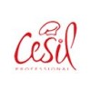 Cesil 